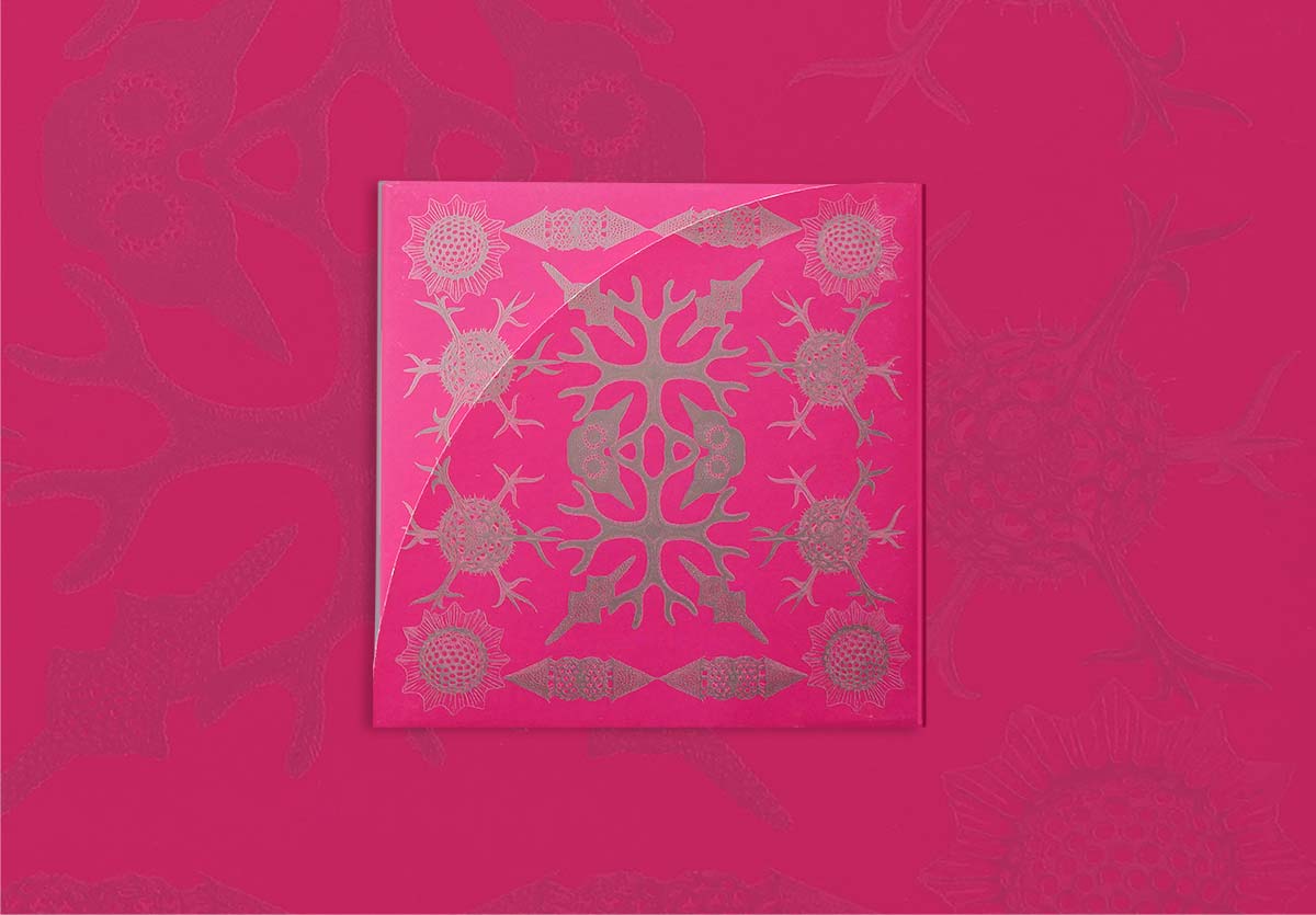 Milton Andrews, Square Peg Design, Graphic Designers, Graphic Design, Hobart, Tasmania, catalogue small 