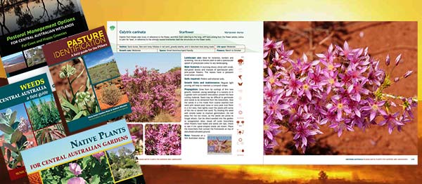 Milton Andrews Graphic Designer, Square Peg Design, Graphic Designers, Hobart, Tasmania, Graphic Design corporate report