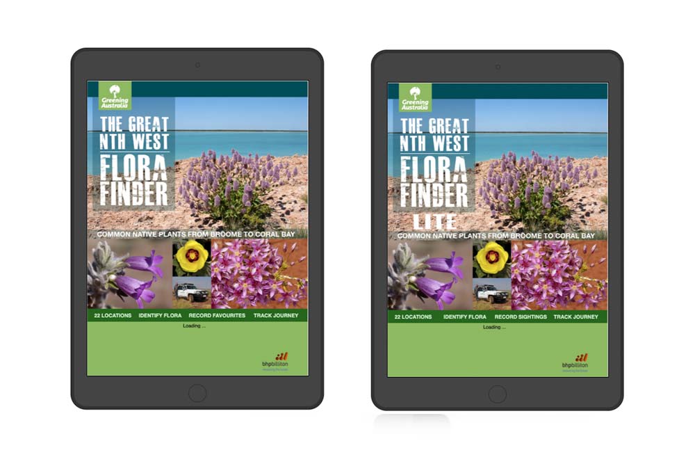 Milton Andrews, graphic design, Hobart, Tasmania, websites